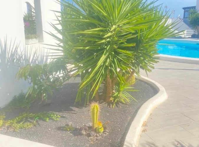 Arcos 305 * 卡门港